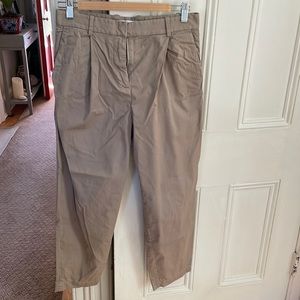 Everlane Pleated Chinos